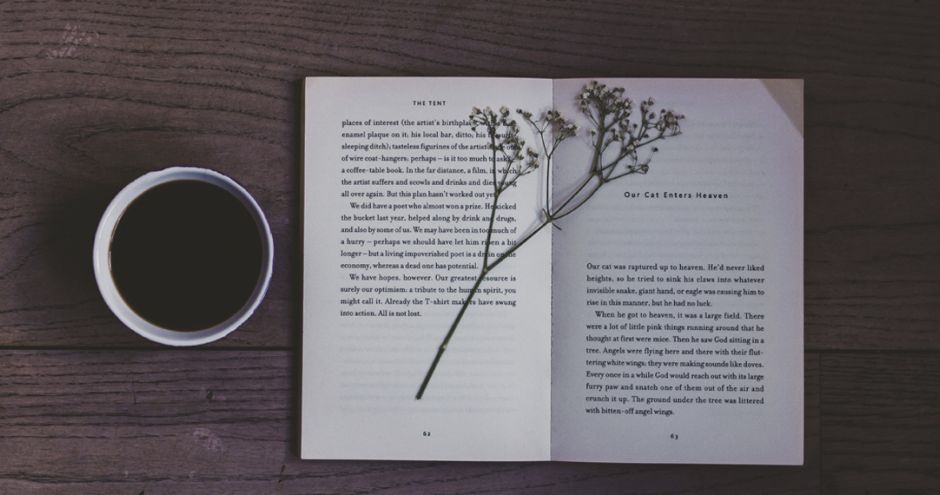 Cinco lecturas para alegrarte la vida.